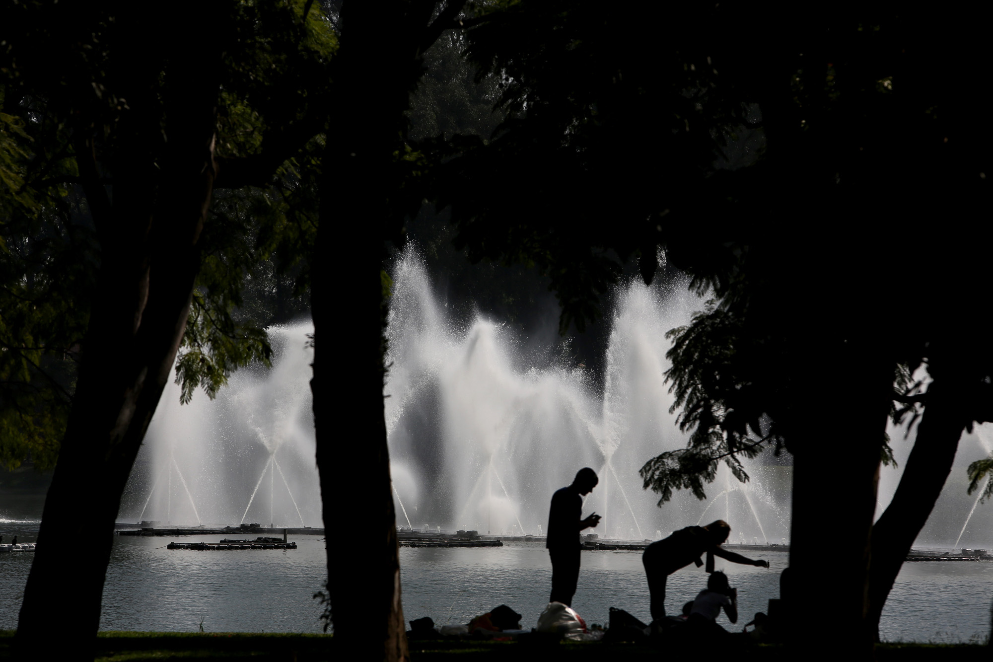 O Ibirapuera recebeu mais de 6 mil avaliações, a maioria considerando a atração excelente.   Foto: Fábio Arantes / Secom