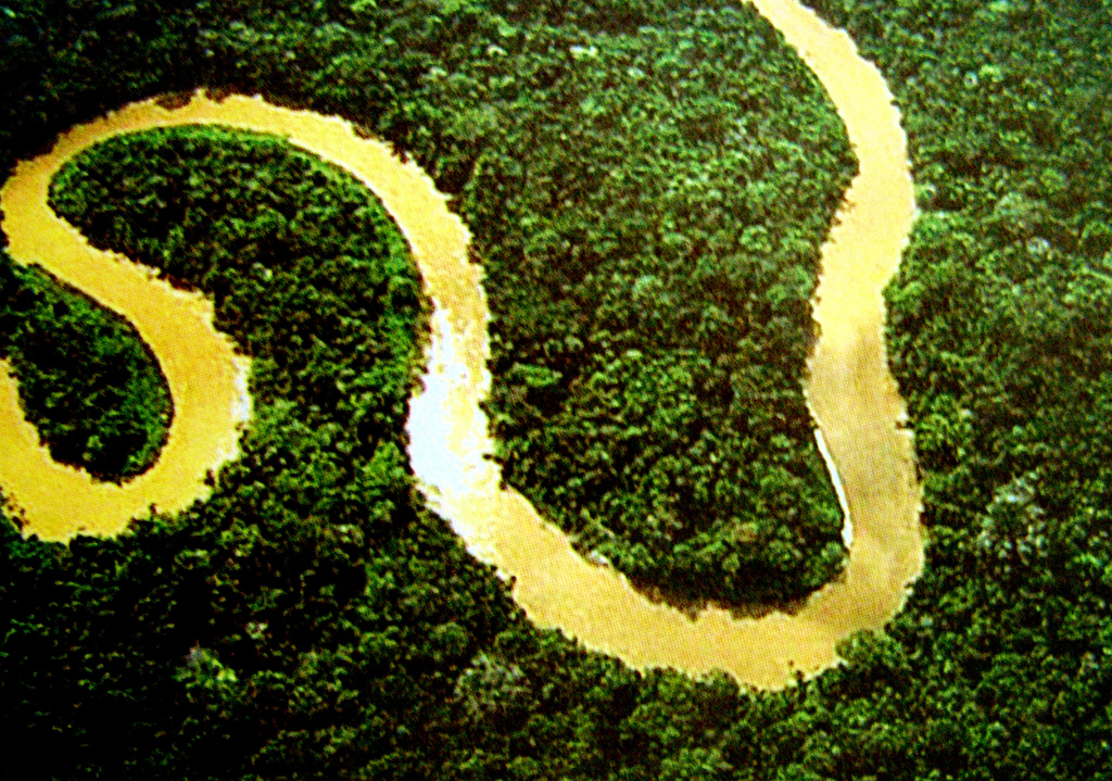 Floresta Amazônica, que registrou alta no desmatamento